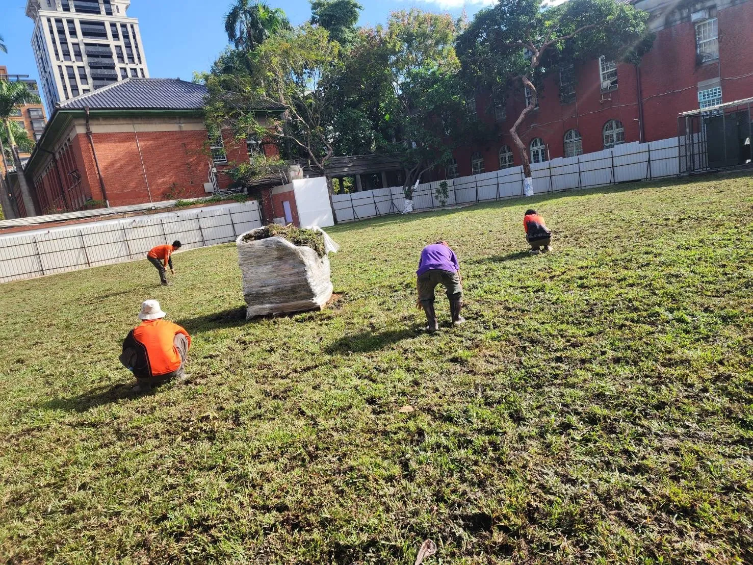 工人進行草皮養護澆水作業