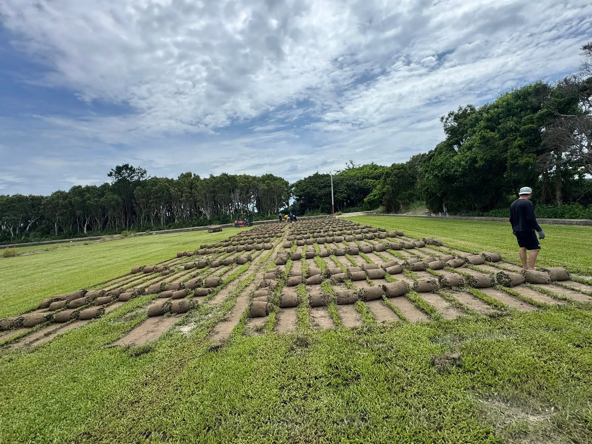 彰化公共工程草皮鋪設全景